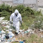 Personal de la Unidad de Bienestar Animal llegó al terreno abandonado en el sector de El Condado.