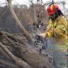 Los bomberos cortaron árboles desde los que aún salía humo tras el incendio forestal en cerro San Eduardo.