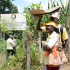 Expertos de la ONU aseguran que las víctimas continúan en un limbo debido a la falta de acción del Estado.