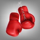 Los guantes de boxeo definen protección, control y confianza en cada golpe.