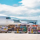 El sector florícola espera un incremento del 6 % del volumen de exportación con respecto a la temporada anterior.