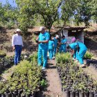 Proyecto. Estudiantes del Instituto Tecnológico Pelileo cultivan sandía y melón en fincas prestadas de Patate.