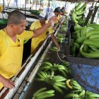 El proceso de venta de la hacienda La Clementina permanece estancado debido a problemas de seguridad.