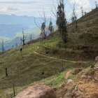 Moradores de San Antonio de las Aradas y del cantón Quilanga recorren un tramo del Qhapaq Ñan, durante actividades comunitarias de conservación del patrimonio ancestral.