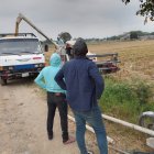 Durante el mes de veto terrestre, el arroz ecuatoriano podrá continuar ingresando por puertos y aeropuertos colombianos, aunque con mayores costos logísticos.