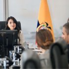 La ministra Sariha Moya había expresado confianza en lograr tasas por debajo del 10% para los nuevos instrumentos.