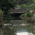 Pronunciamiento. César Poveda, coordinador legal del Municipio de Guayaquil, respondió a la Asamblea por el anuncio de auditorías. Dijo que todo es “un show político”.