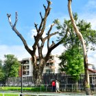 EL PARQUE CLEMENTE YEROVI REQUIERE TRABAJOS DE MANTENIMIENTO ||
FELENCIAS EN PARQUE DE LA KENNEDDY PERIODISTA: CARLOS PINO FECHA: 11-03-2025 FOTOGRAFO: FRANCISCO FLORES AG-EXTERNOS