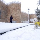 Dos personas pasean a su perro a los pies de la Muralla de Ávila, que está nevada, este miércoles