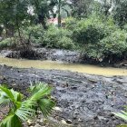 El sedimento ha tomado un color más natural, y ha perdido contaminantes.
