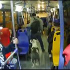 Cámaras de seguridad captaron el asalto armado en un bus urbano del sur de Quito, en el sector de Chillogallo.