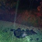 Siniestro. El siniestro ocurrió la madrugada de este domingo 1.