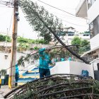 La novedad del pino caído ocurrió en Lomas de Urdesa, en el norte de Guayaquil.