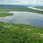 Vive febrero en los humedales de Ecuador. Avista aves migratorias, navega entre manglares y recorre lagunas glaciares