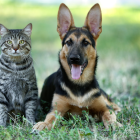 La UBA organizó un curso en línea de primeros auxilios.