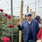 Expoflores proyecta ventas de hasta $ 276 millones