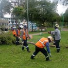 Personal de la Epmmop, apoyado de maquinaria pesada, se moviliza de un extremo a otro de Quito para despejar las vías y reducir los riesgos.