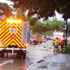 Un árbol cayó sobre la avenida José María Egas, en Sauces 3, a pocos metros del puente que conecta ese sector con La Puntilla.