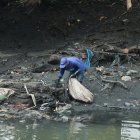 Visolit y Urvaseo se encargan de la gestión de desechos y su recolección, en el estero Salado y las calles de la ciudad.