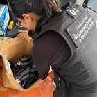 Autoridades incautaron armas, municiones y documentos falsificados durante el operativo en Quito.