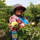 El monto del financiamiento será de hasta $5.000, con una tasa de 9,8 %.