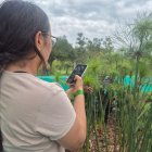 Con una aplicación se puede documentar la flora y fauna de los Hábitats Ecológicos Urbanos en el Parque Bicentenario.