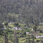 Se levantan edificaciones en áreas de protección ecológica, sin autorización o con fraccionamientos irregulares de terrenos que no respetan los lotes mínimos.