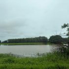 Algunos cultivos de recintos de la provincia de Los Ríos están inundados.