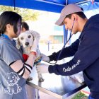 Promotores de bienestar animal recorren barrios de Quito para esterilizar y educar.
