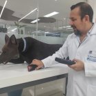 El simulador robótico K9 permite a los estudiantes de Medicina Veterinaria de la Universidad Ecotec practicar procedimientos clínicos y emergencias médicas en un entorno seguro