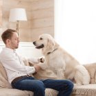 Tener mascotas en departamentos es legal en Ecuador, pero los ladridos constantes de perros pueden generar sanciones si afectan la convivencia y el descanso de los vecinos.