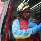 Bomberos participaron en el rescate de mascotas en medio de la emergencia por el incendio en el centro comercial Multicomercio.