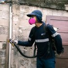 La Dirección municipal de Salud e Higiene realiza la fumigación, dentro y fuera de las casas, contra el dengue en diversos sectores de Guayaquil.