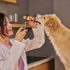 La medicina homeopática aplicada a animales continúa generando debate dentro del campo veterinario.