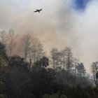 Las aves vuelan junto a un incendio forestal en el Parque Nacional Big Cypress, Jerome, Florida, EE.UU.