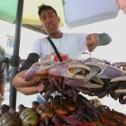 Los comerciantes pueden volver a expender cangrejos en Ecuador.