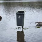 Un pato junto a una papelera en el área inundada en Las Landas, Francia.