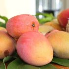 Frutas ecuatorianas en EE. UU.: cómo cambia el precio del banano, piña y mango.