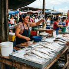 Imagen referencial. La lisa es un pescado popular en Ecuador, consumido en ceviches y preparaciones tradicionales