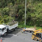 Alrededor de 40 árboles serán retirados en la avenida Simón Bolívar tras presentar deterioro estructural y riesgo de caída