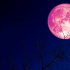 Imagen de la llamada Luna Rosa.