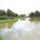El parque Bicentenario de Quito cuenta con un humedal urbano en donde están los peces.