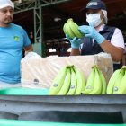 Banano ecuatoriano en EE. UU.: ¿bajarán los precios tras el acuerdo comercial?