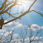 Referencial. Ecuador enfrenta este 27 de marzo lluvias intensas, tormentas eléctricas y niveles extremos de radiación UV.