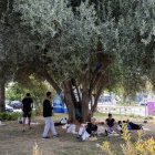 Migrantes argelinos descansan a la sombra de un árbol en un parque de la Estación Marítima de Palma de Mallorca, el 24 de agosto de 2025.