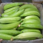 La industria del plátano incentiva el consumo interno del producto que no se pudo vender a Colombia.