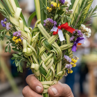 No se debería comercializar ramos para la Semana Santa que estén hechos de palma de cera.