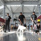 Integrantes de la Guardia Nacional caminan junto a perros del 'Escuadrón Canino' este lunes, en el Aeropuerto Internacional Felipe Ángeles (AIFA) en Santa Lucía (México).