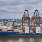 Ecuador proyecta un crecimiento del 27 % en las exportaciones no petroleras hacia Corea del Sur.