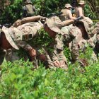Militares participan en tareas de erradicación de cultivos ilegales de la hoja de coca este jueves en Chimore (Bolivia).